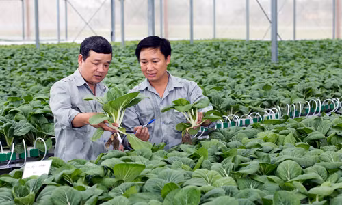 Vĩnh Phúc trả lời cử tri về những vấn đề bức xúc dân sinh