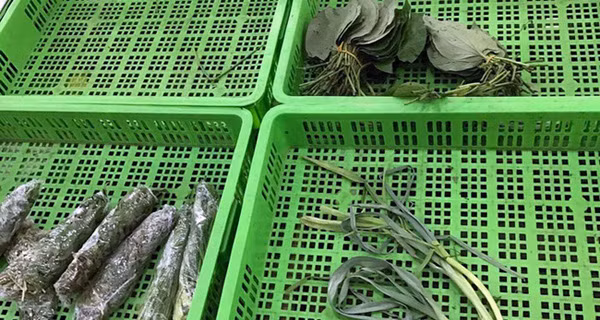 Rau tăng phi mã, đắt ngang thịt cá