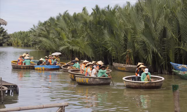 Mỗi ngày rừng dừa Bảy Mẫu đón cả ngàn lượt du khách đến tham quan Ảnh: Thanh Trần 