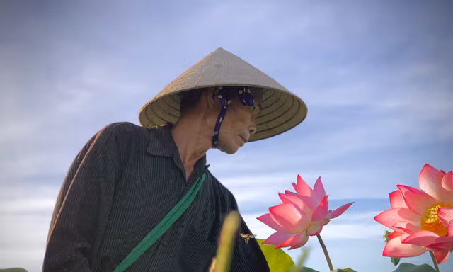 'Biến' đồng hoang thành đầm sen, nông dân thu hàng chục triệu mỗi vụ