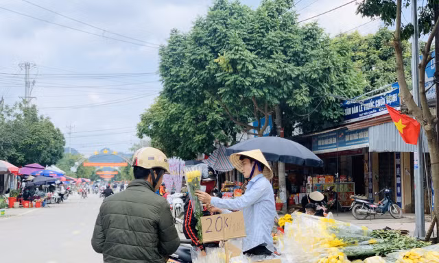 Chợ quê chiều cuối năm vẫn tấp nập, cây cảnh và hoa lại ‘ế ẩm’