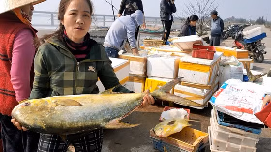Trúng đậm mẻ cá chim vàng, một đêm ngư dân thu về hơn nửa tỷ đồng