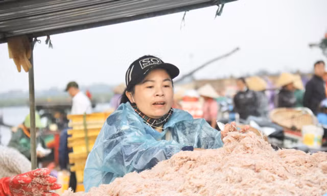 Ngư dân Hà Tĩnh trúng đậm ruốc biển, thu tiền triệu mỗi ngày