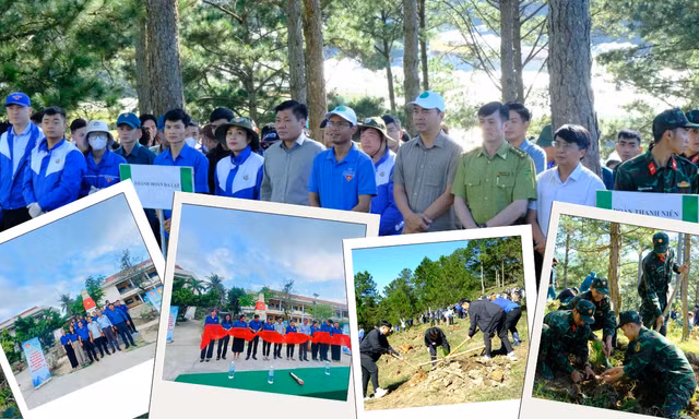 Tuổi trẻ Lâm Đồng, Khánh Hòa tham gia đẩy mạnh các hoạt động môi trường, xã hội