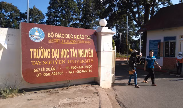 Trường Đại học Tây Nguyên.