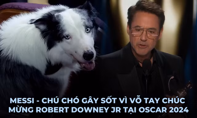 Tất tật về Messi - "ngôi sao 4 chân" chiếm trọn spotlight tại lễ trao giải Oscar 2024