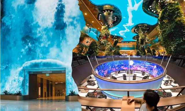 Sân bay Singapore nâng cấp loạt điểm check-in siêu xịn khiến team du lịch mê mẩn
