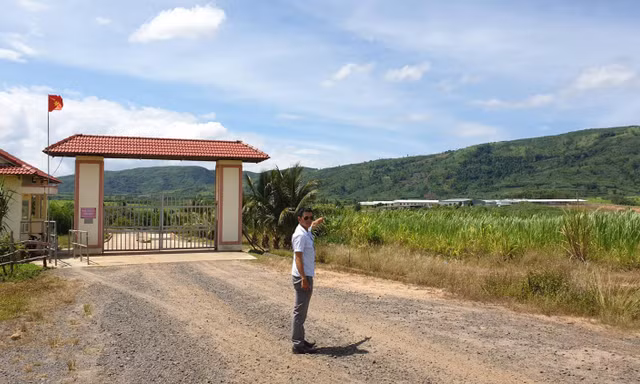 Cho doanh nghiệp ứng 50 tỉ rồi 'gồng mình giải quyết', lãnh đạo Đắk Lắk nói gì?