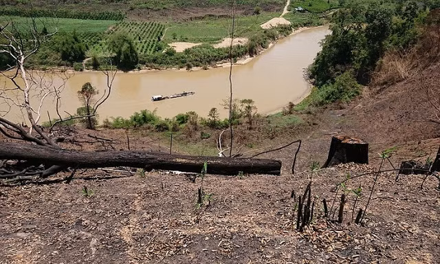 Rừng đặc dụng thiên nhiên Nam Kar bị huỷ hoại nghiêm trọng.