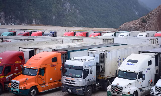 Còn trên 4000 tấn hoa quả ùn ứ tại cửa khẩu Tân Thanh .Ảnh: P. Hoài