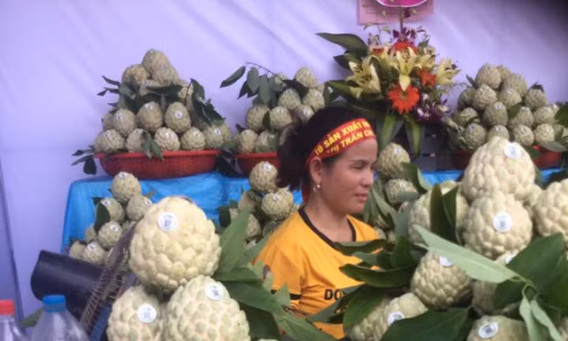 Lạng Sơn tính xuất khẩu na sang Trung Quốc