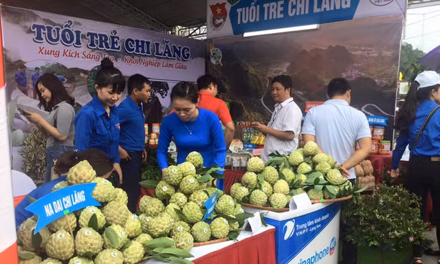 Gian hàng của Tuổi trẻ Chi Lăng hút khách với quả na đặc sản to, đẹp - Ảnh: Duy Chiến