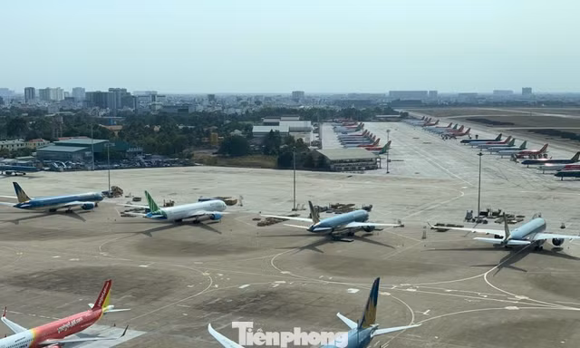 Sân bay Tân Sơn Nhất quá tải ban ngày, tăng chuyến đêm 'cứu' khách dịp Tết