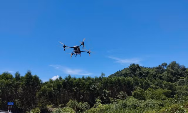 Quảng Bình dùng máy bay không người lái đối phó với nạn châu chấu hoành hành 