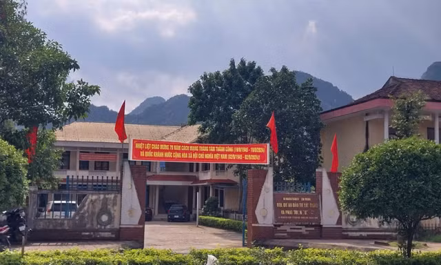 Quảng Bình: Một cán bộ huyện bị bắt vì liên quan sai phạm dự án cây xanh 