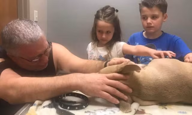 Chị Richardson cùng 2 con đang vĩnh biệt chú chó nhỏ dũng cảm. (Ảnh: CNN)