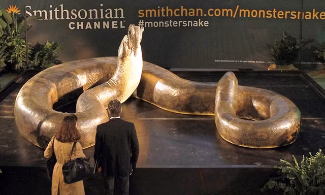 Quái vật rắn khổng lồ cai trị thời tiền sử Colombia