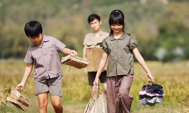 Tôi thấy hoa vàng trên cỏ xanh được chọn đại diện Việt Nam dự sơ tuyển