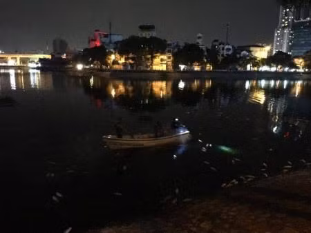 Cá chết hàng loạt trên hồ Hoàng Cầu do sốc nhiệt