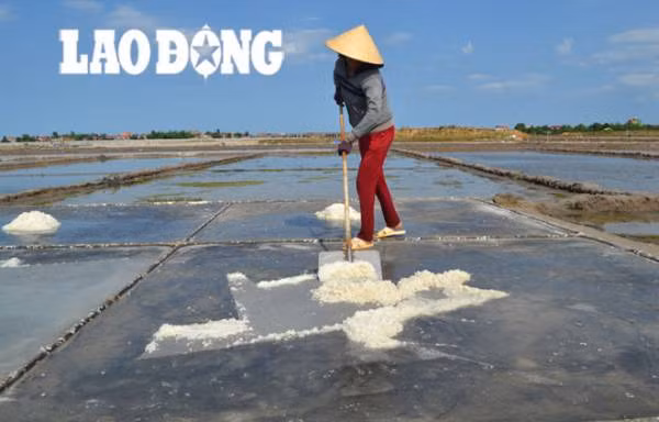 Diêm dân Quảng Bình luôn canh cánh nỗi lo bị “ép giá“. Ảnh: Lê Phi Long