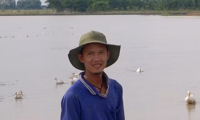 Tiếng chỉ trồng lúa 2 vụ/năm, vụ còn lại để dành cho... đất nghỉ. Ảnh: H.H