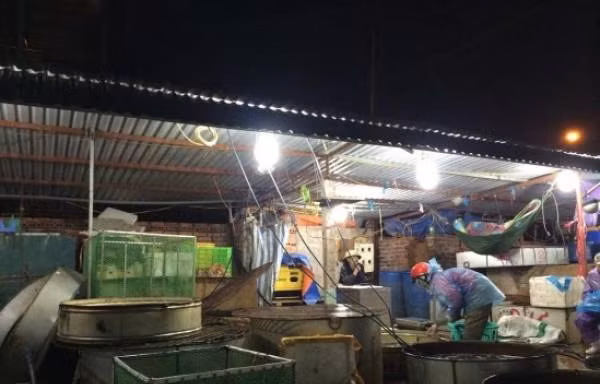 Khu chợ tự phát nổi tiếng sạch sẽ vì bán cá không có mùi tanh