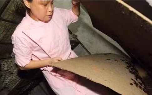 Người phụ nữ nuôi 100.000 con gián như con