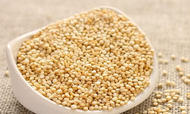 Trong hạt Quinoa chứa tất cả các axit amin thiết yếu cho cơ thể. Đây là một loại thực phẩm giảm mỡ bụng đáng để đầu tư nếu bạn muốn giảm cân, giảm mỡ vùng bụng. 
