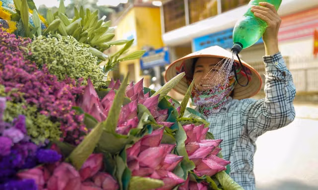 Ngẩn ngơ hương sắc sen đầu mùa xuống phố Hà Nội