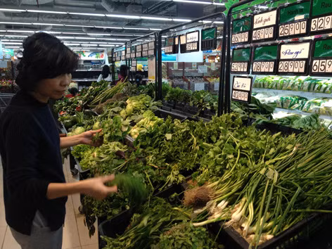 “Ma trận” rau an toàn