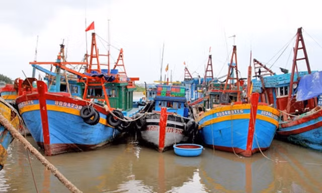 Xót xa hàng loạt tàu cá nằm bờ vì thua lỗ