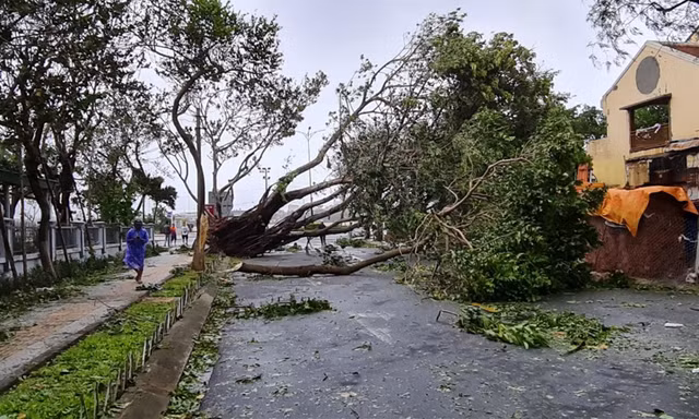 Bão số 9 và hoàn lưu bão kéo dài gây thiệt hại ở Đà Nẵng. Ảnh: Cảnh Huệ