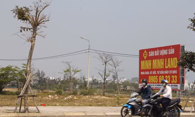 Chủ một số sàn giao dịch cho hay, mỗi ngày đều “đẩy” được nhiều lô đất tại khu Nam Hòa Xuân, trên thực tế rất ít giao dịch. Ảnh: Thanh Trần