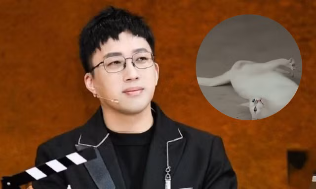 Phim "Đương Gia Chủ Mẫu" bị tố ngược đãi động vật, "biên kịch thị phi" Vu Chính nói gì?
