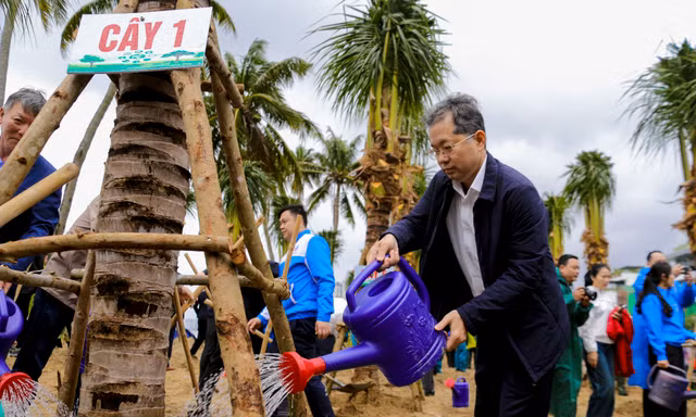 Hàng trăm người đội mưa tham gia Tết trồng cây xuân Ất Tỵ 2025 ven biển Đà Nẵng