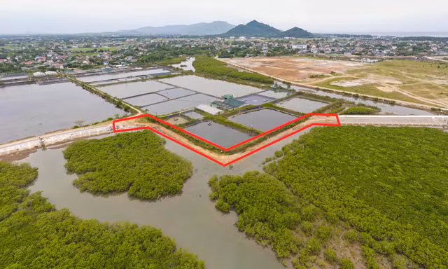 Lý do dự án xử lý cấp bách hơn 180 tỷ làm kiểu 'rùa bò' 