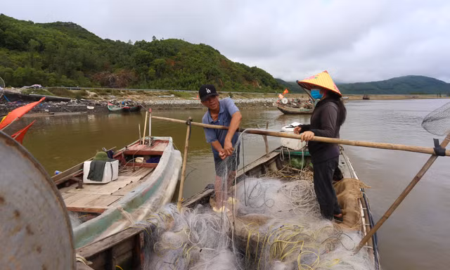 Ngư dân Hà Tĩnh vươn khơi thu 'lộc biển' sau đợt mưa lớn