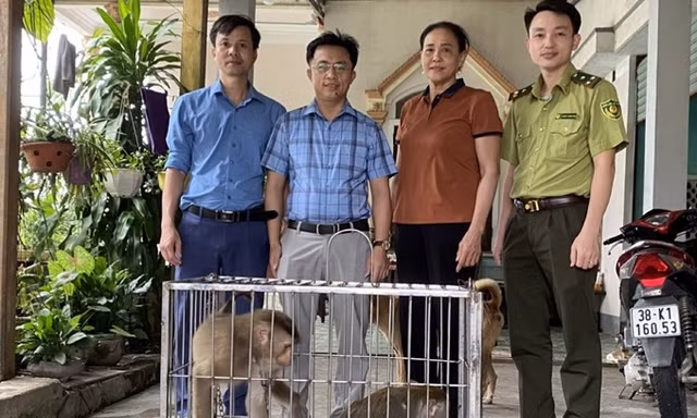 Người dân Hà Tĩnh bàn giao nhiều cá thể động vật quý hiếm 