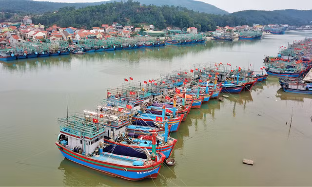 11 tỉnh miền Trung 'bắt tay' quản lý tàu cá, truy xuất nguồn gốc hải sản