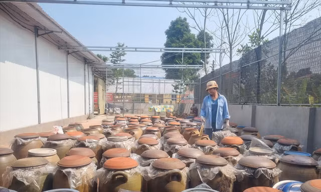 Về làng tương gần 200 năm danh tiếng 