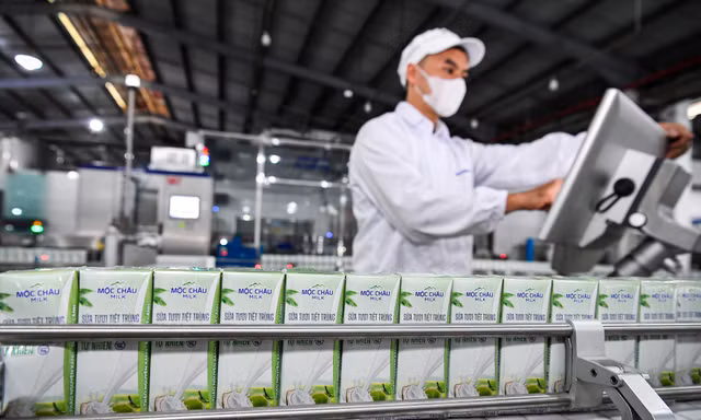 Dòng sữa mát lành trong kỷ nguyên xanh 