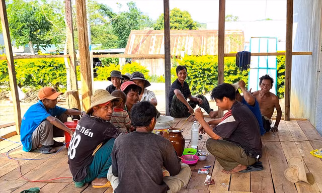 Những nốt trầm nơi đại ngàn 