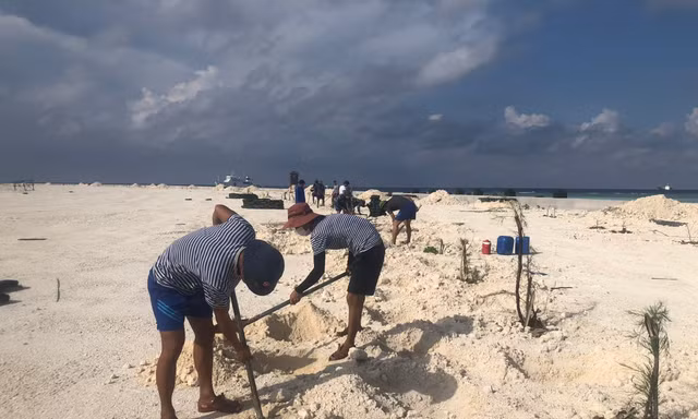 Trường Sa! Tiếng gọi thẳm sâu nơi lòng biển - Bài 6: Sức sống mãnh liệt 