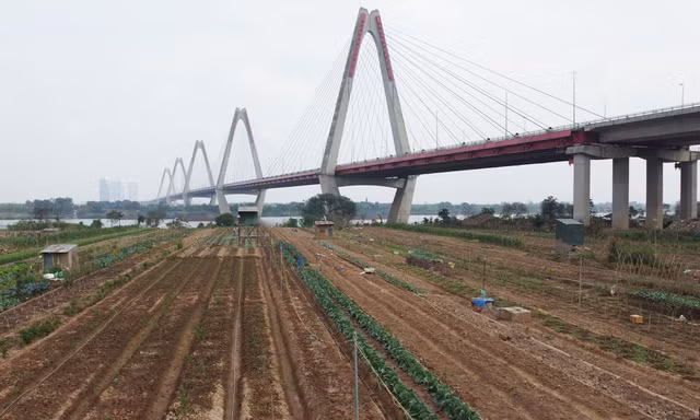 'Rửa sạch' sông Tô Lịch trong 9 tháng