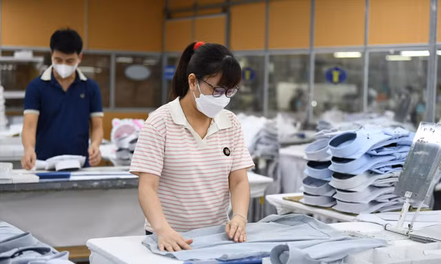 Chiến lược đưa kinh tế hộ gia đình thành doanh nghiệp