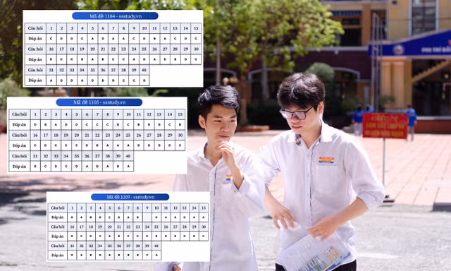 Đáp án tham khảo tất cả 48 mã đề môn tiếng Anh kỳ thi tốt nghiệp THPT 2025