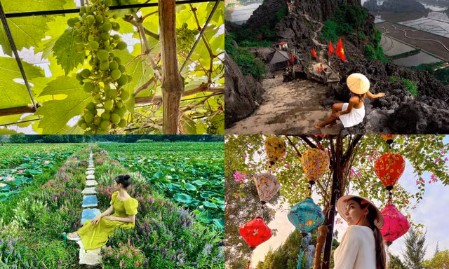 Vườn nho sai trĩu quả ở Ninh Bình: Điểm đến mới hứa hẹn hút khách dịp nghỉ lễ