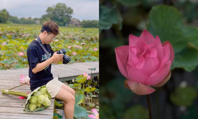 Ai ngờ tháng 8 mà Ninh Bình vẫn có sen nở rộ trái mùa, lên đường ngay thôi nào!