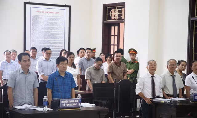 Kỳ án gỗ trắc ở Quảng Trị: Tòa bác đơn kiện Tổng Cục trưởng Hải quan của doanh nghiệp
