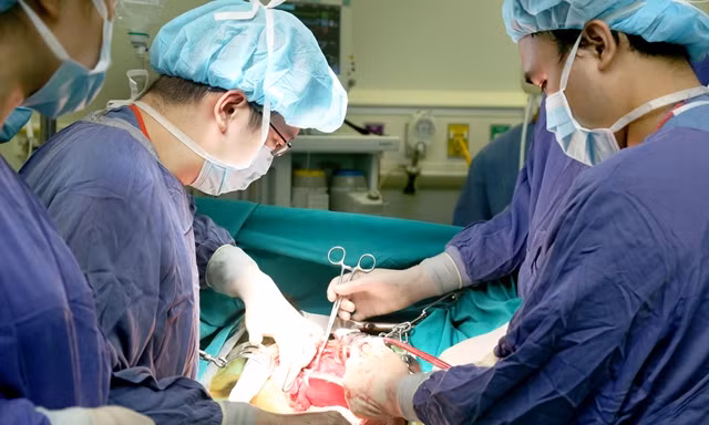Thiết lập kỷ lục mới về ghép tạng tại Việt Nam